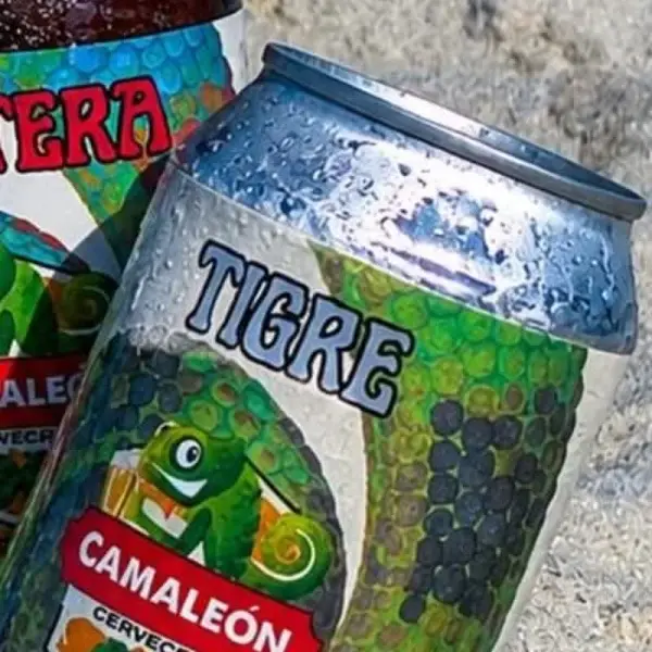 Tigre (IPA)